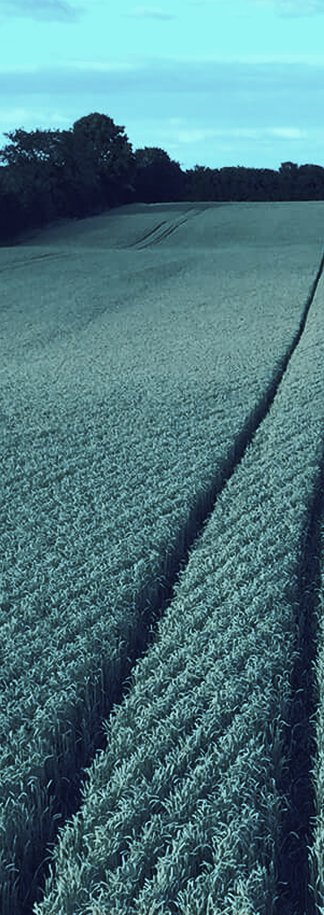 Claydon field mobile
